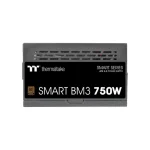 مشخصات و خرید منبع تغذیه ترمالتیک مدل Smart BM3 750W