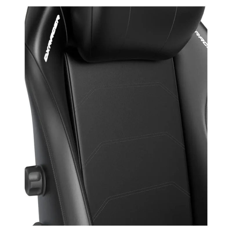 مشخصات و خرید صندلی گیمینگ دی ایکس ریسر Master Series 2025 XL Black