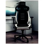 مشخصات و خرید صندلی گیمینگ ورتاگیر PL4800 Black White