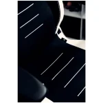 مشخصات و خرید صندلی گیمینگ ورتاگیر PL4800 Black White