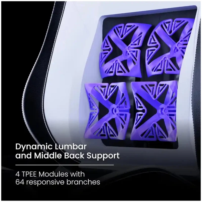 مشخصات و خرید صندلی گیمینگ ورتاگیر SL3800 Midnight Purple